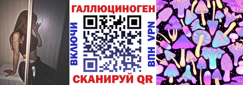 Псилоцибиновые грибы Psilocybe  Купить где  Кстово 